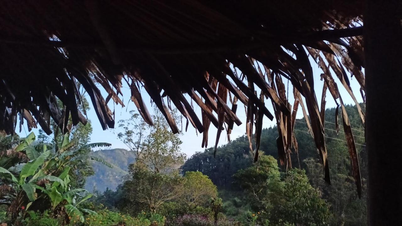 Freedom Camp Ella Ξενοδοχείο Εξωτερικό φωτογραφία
