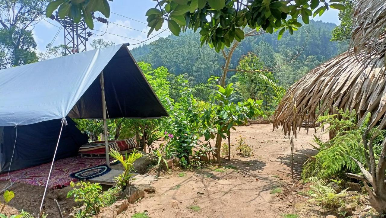 Freedom Camp Ella Ξενοδοχείο Εξωτερικό φωτογραφία