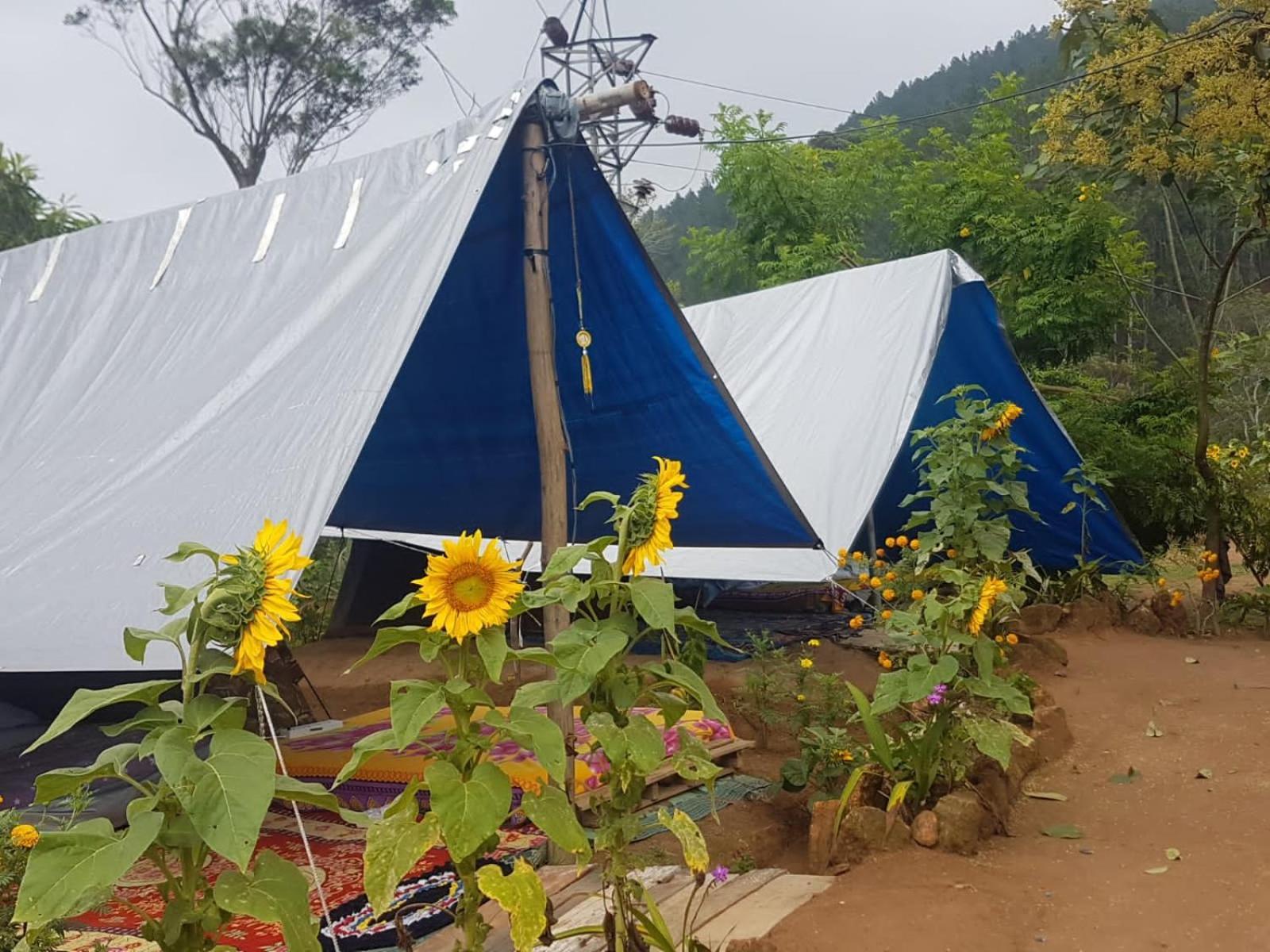Freedom Camp Ella Ξενοδοχείο Δωμάτιο φωτογραφία